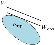 Entanglement witnesses