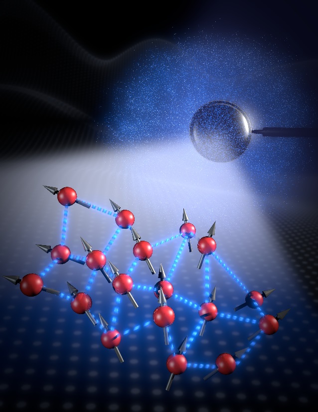 Artistic view of Bell correlations in many-body systems